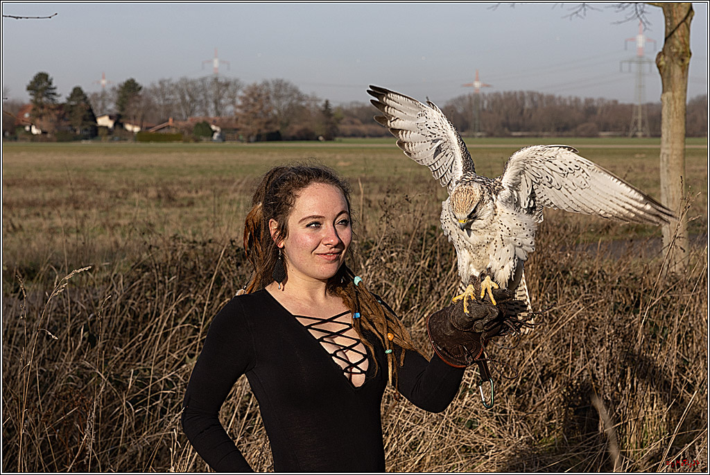 Cheyenne-Halbblut Hunting Wolf in der Falknerei Pierre Schmidt; Gymnich, 09.02.2023